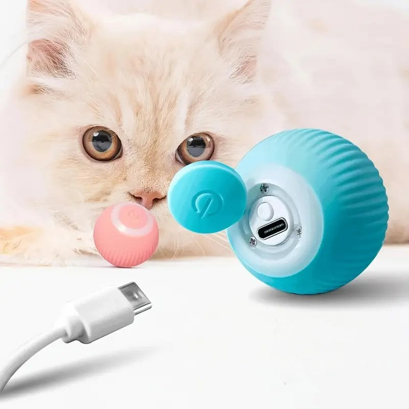 Snoesbal - Van Playmaten