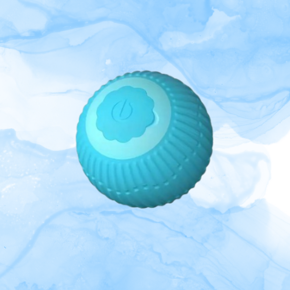 Snoesbal - Van Playmaten