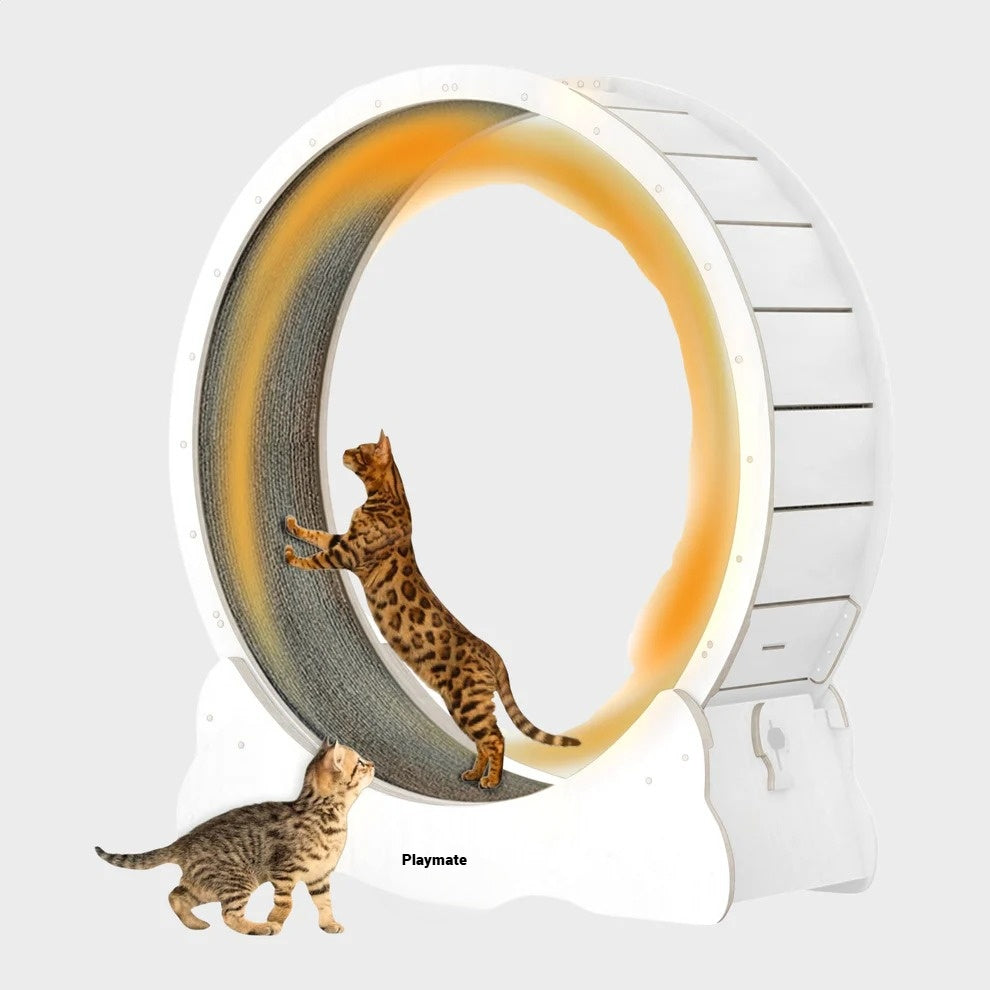 Kattenloopwiel - Van Playmaten