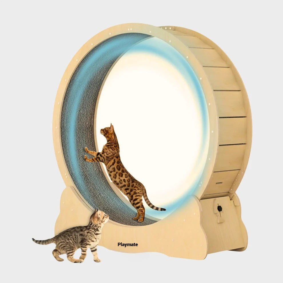 Kattenloopwiel - Van Playmaten