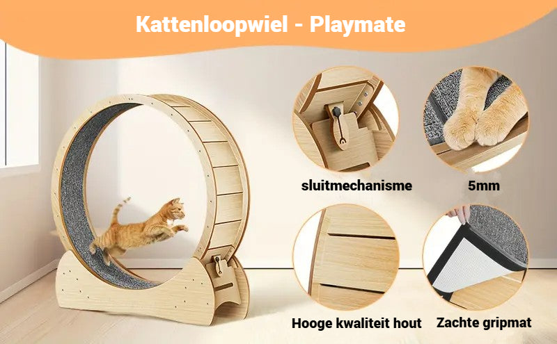 Kattenloopwiel - Van Playmaten