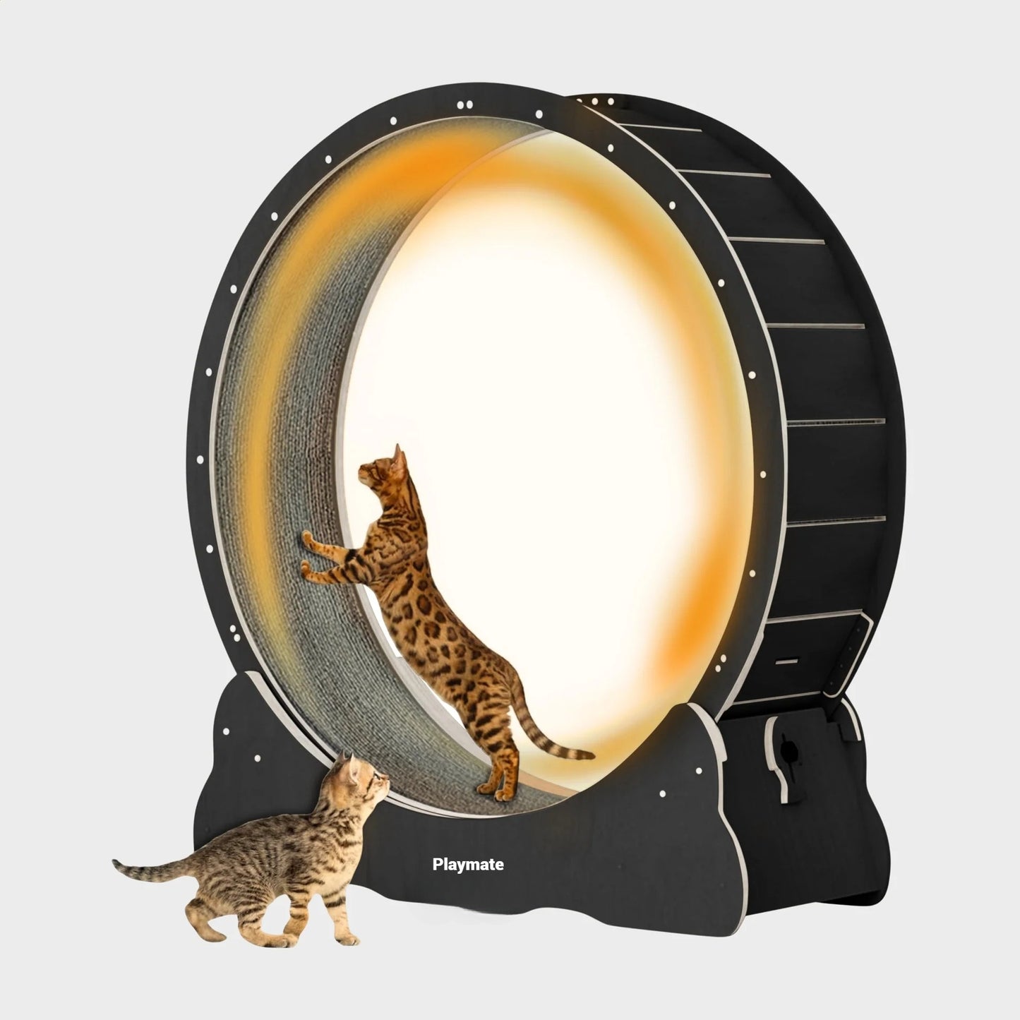 Kattenloopwiel - Van Playmaten