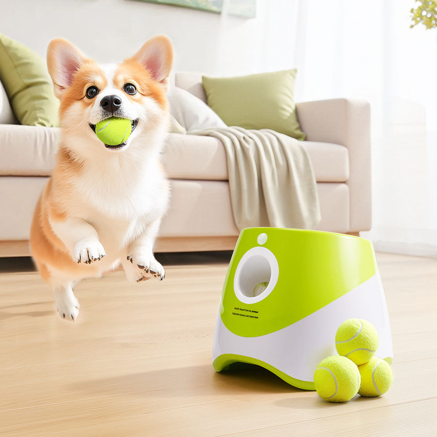 WoefLauncher - Van Playmaten