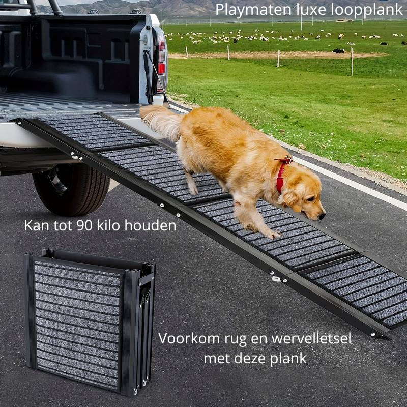 Honden Loopplank - Van Playmaten