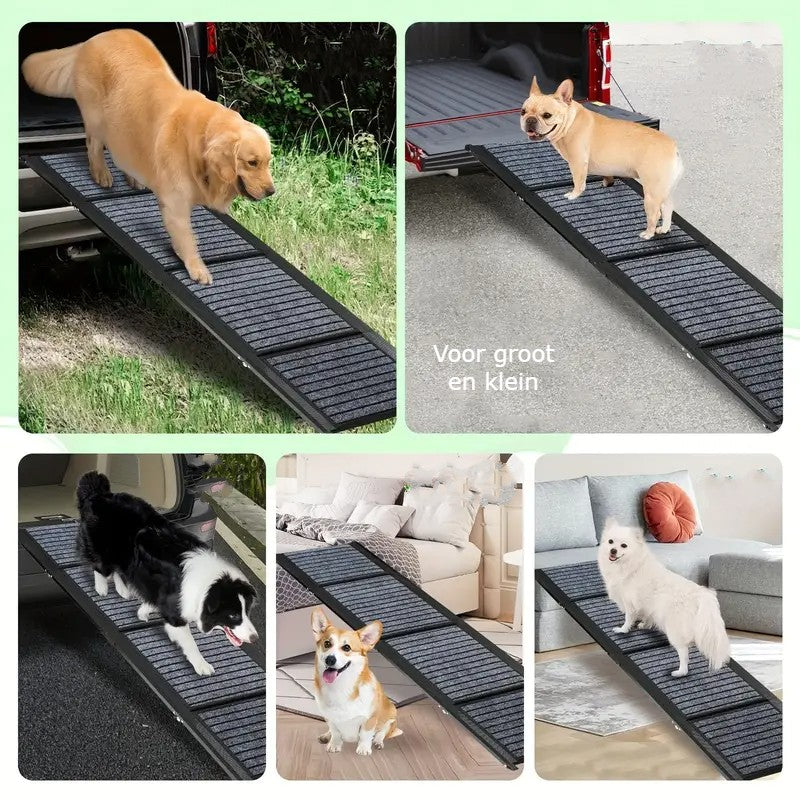 Honden Loopplank - Van Playmaten